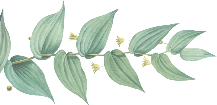 Gestione rifiuti sostenibile